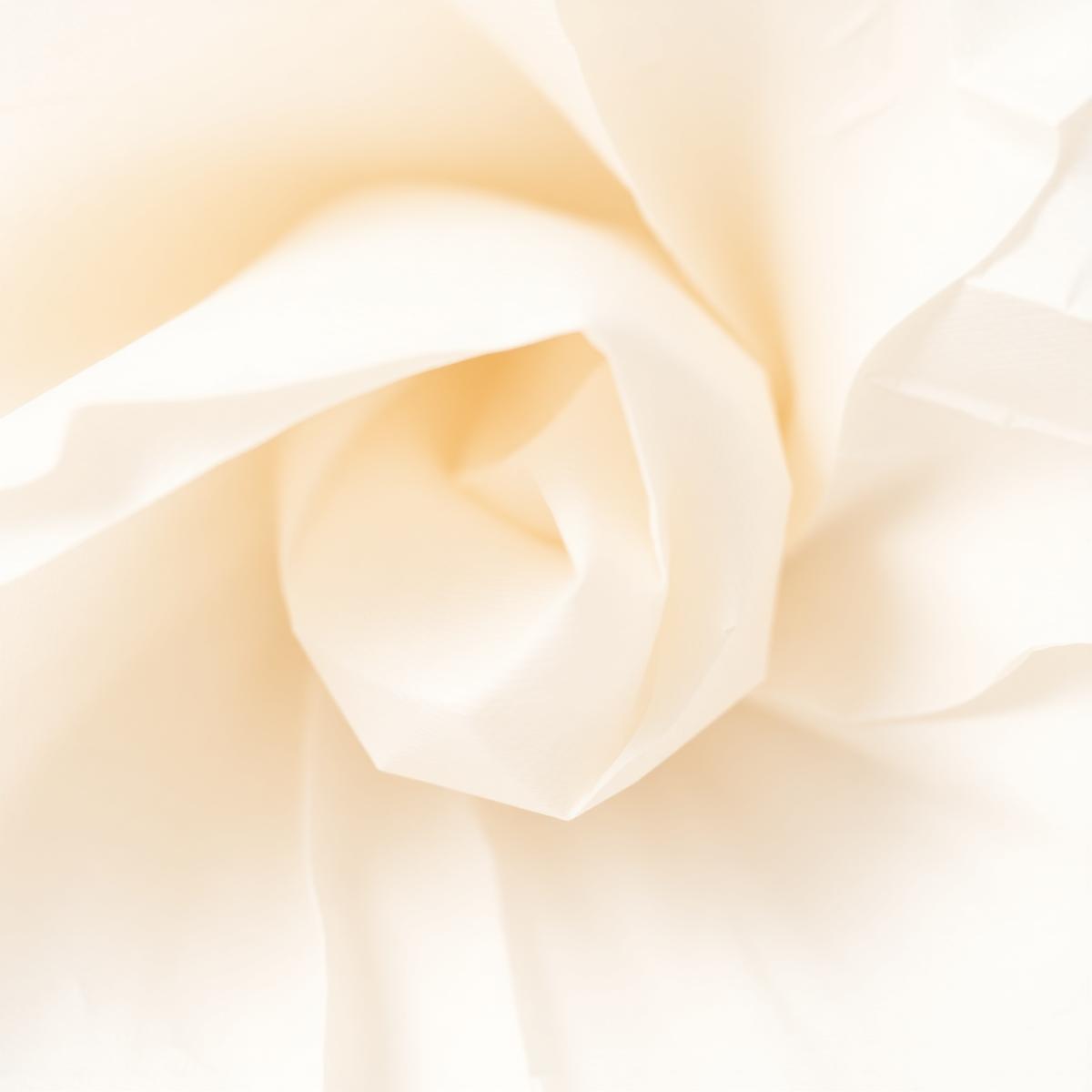 Tissue Paper Jumbo Rolls detail 2